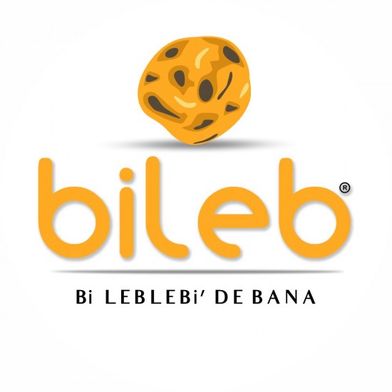 10’lu karışık kuruyemiş seti 4.75 kg bileb keyif serisi özel lezzet koleksiyonu